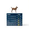 Ruffwear Dog Harness Adjustable Reflective Pet Walking Gear-1