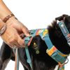 Ruffwear Dog Harness Adjustable Reflective Pet Walking Gear-6