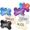 GoTags Stainless Steel Dog ID Tag Laser Engraved Pet-4