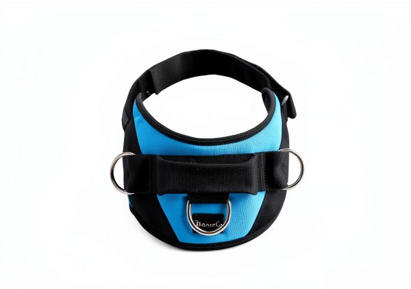 ShawnCo No Pull Dog Harness Adjustable Reflective Pet Vest-2