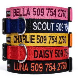 GoTags Custom Embroidered Dog Collar Personalized Nylon-0