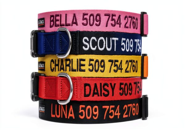 GoTags Custom Embroidered Dog Collar Personalized Nylon-0