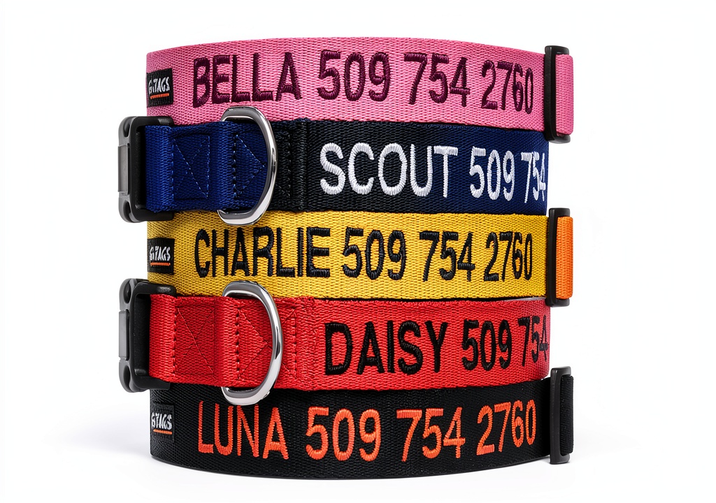 GoTags custom embroidered dog collar on a dog during a walk