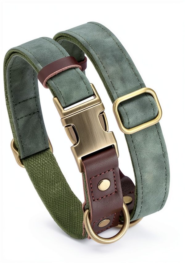 Didog Green Dog Collar Classic Design Quick Release Small-1