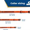 GoTags Custom Embroidered Dog Collar Personalized Nylon-7