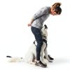 Ruffwear Dog Harness Adjustable Reflective Pet Walking Gear-2