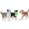 Bisen LED Dog Collar Rechargeable Safety Light Adjustable-5