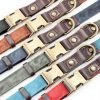 Didog Green Dog Collar Classic Design Quick Release Small-7