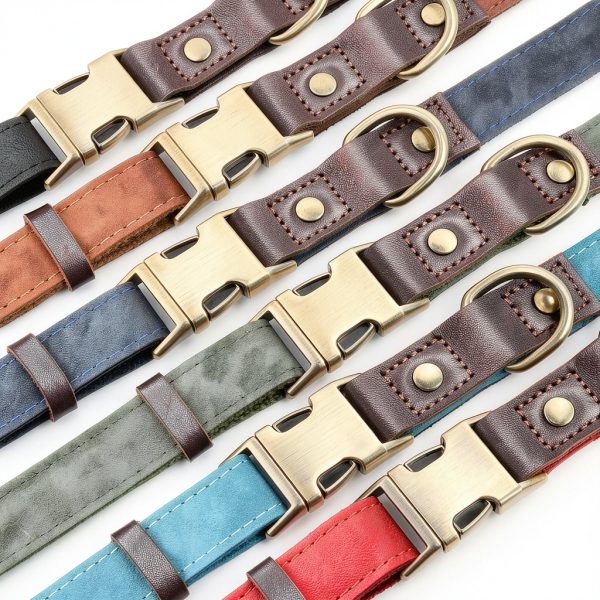 Didog Green Dog Collar Classic Design Quick Release Small-7