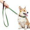Didog Green Dog Collar Classic Design Quick Release Small-2
