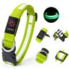 Bisen LED Dog Collar Rechargeable Safety Light Adjustable-3