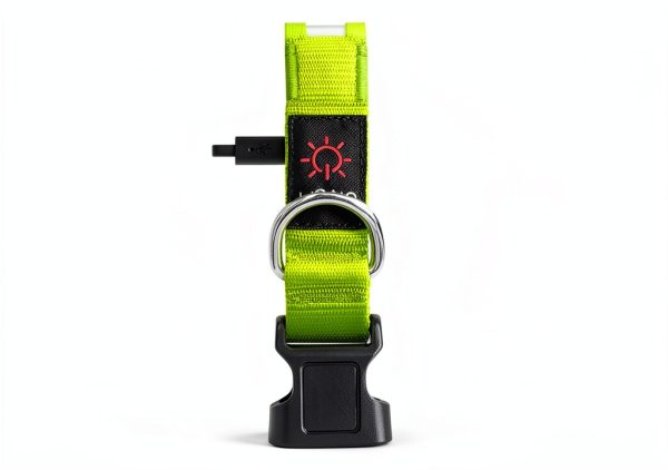 Bisen LED Dog Collar Rechargeable Safety Light Adjustable-2