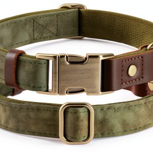 Didog Green Dog Collar Classic Design Quick Release Small-0