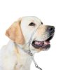 PetSafe Gentle Leader Headcollar No Pull Dog Training-2