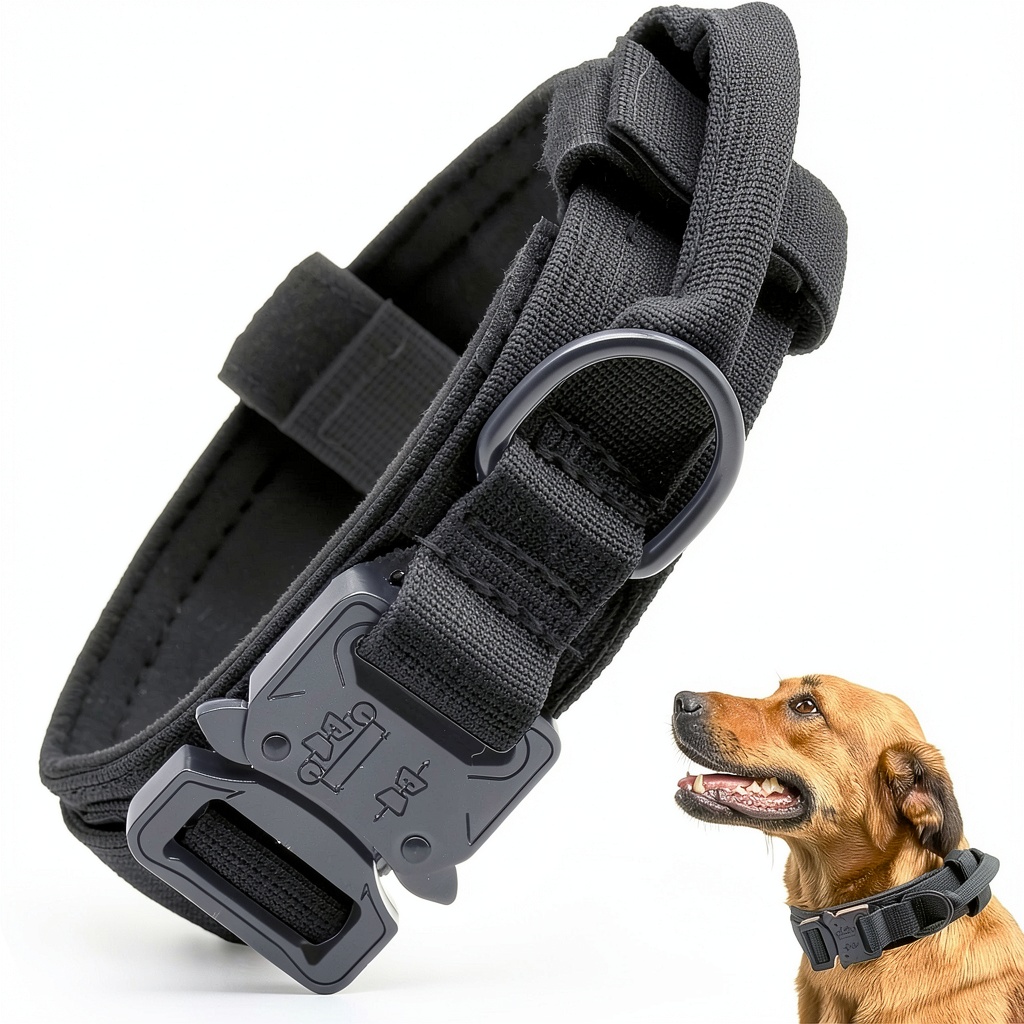 CADONO tactical dog collar on a dog during a walk