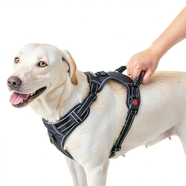 tobeDRI No Pull Dog Harness Reflective Front Clip Leash-4