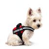 Opstin Service Dog Vest Reflective Harness Training-3
