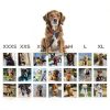Best Pet Supplies Dog Harness Reflective Air Mesh Vest-5