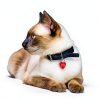 Providence Engraving Pet ID Tags Aluminum Custom Engraved-1
