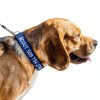 GoTags Custom Embroidered Dog Collar Personalized Nylon-2
