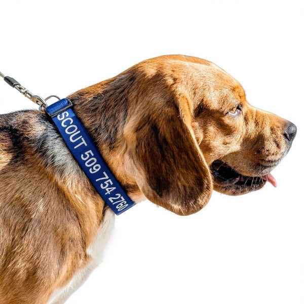 GoTags Custom Embroidered Dog Collar Personalized Nylon-2