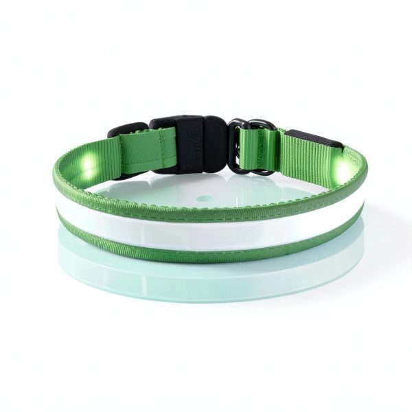 Bisen LED Dog Collar Rechargeable Safety Light Adjustable-1