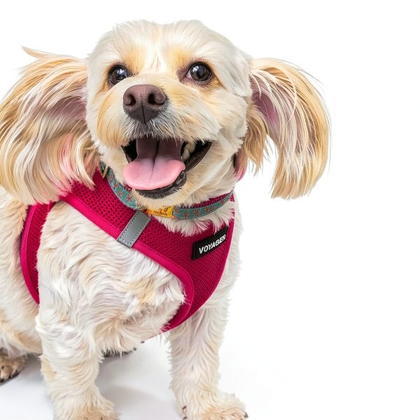 Best Pet Supplies Dog Harness Reflective Air Mesh Vest-6