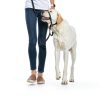 PetSafe Gentle Leader Headcollar No Pull Dog Training-3