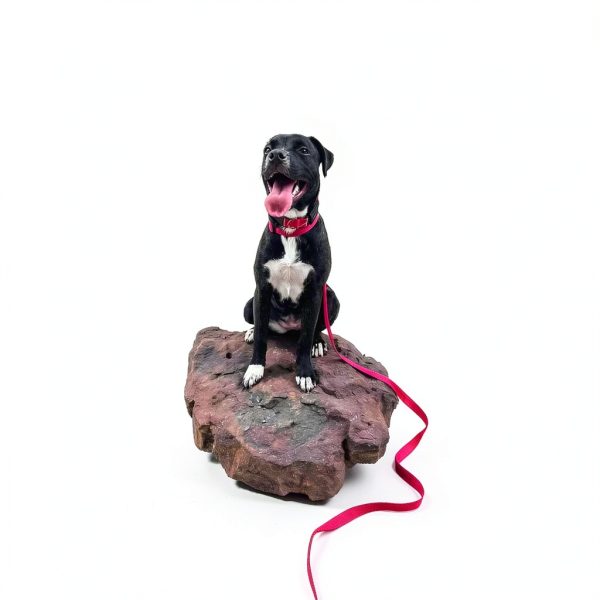 Voyager Dog Leash Best Pet Supplies Neoprene Handle Nylon-3