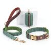 Didog Green Dog Collar Classic Design Quick Release Small-4