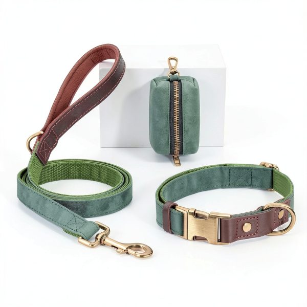 Didog Green Dog Collar Classic Design Quick Release Small-4