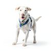 PetSafe Gentle Leader Headcollar No Pull Dog Training-6