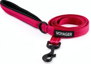 Voyager Dog Leash Best Pet Supplies Neoprene Handle Nylon-0