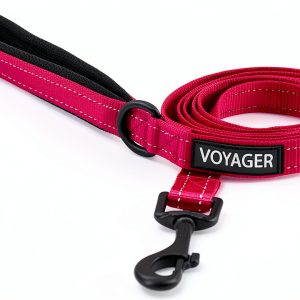 Voyager Dog Leash Best Pet Supplies Neoprene Handle Nylon-0