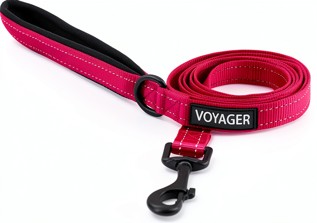 Voyager Dog Leash Best Pet Supplies Neoprene Handle Nylon being held by a user on a park bench