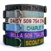 GoTags Custom Embroidered Dog Collar Personalized Nylon-1