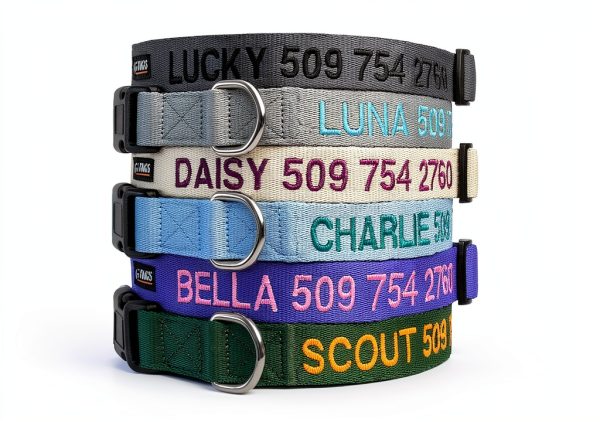 GoTags Custom Embroidered Dog Collar Personalized Nylon-1