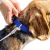 GoTags Custom Embroidered Dog Collar Personalized Nylon-5