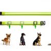 Bisen LED Dog Collar Rechargeable Safety Light Adjustable-4