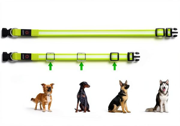 Bisen LED Dog Collar Rechargeable Safety Light Adjustable-4