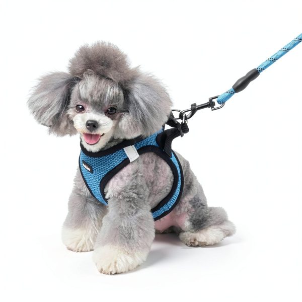 Matilor Dog Harness Step In Design Air Mesh Pet Vest-5