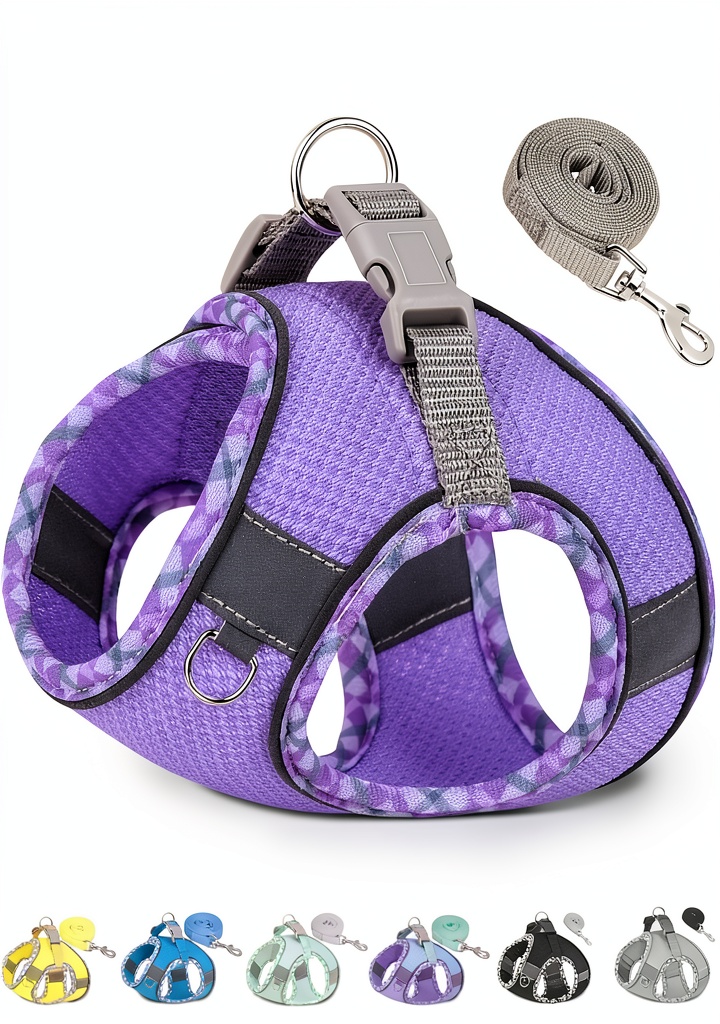 Petank dog harness in Light Blue color on a dog during a walk