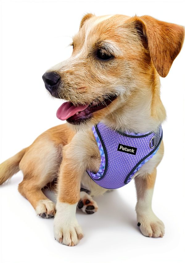 Petank Dog Harness Jacquard Mesh Reflective Step In Design-1