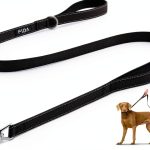 BEST-RUN Dog Leash Nylon Reflective Padded Handle Pet-0