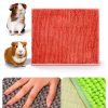 Barydat Guinea Pig Mats 16x12 Gray Green Pink-1