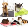 Barydat Guinea Pig Mats 16x12 Gray Green Pink-4