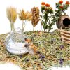 Hamster Bath Sand JFWOD Natural Desert for Small Pets 15lb &-4