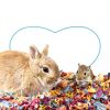 Kaytee 14-Day Odor Control Bedding for Small Animals-5