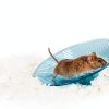 Absorption Corp. Small Pet Bedding Natural Paper Fiber-3