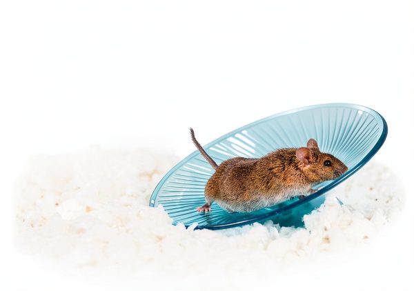 Absorption Corp. Small Pet Bedding Natural Paper Fiber-3